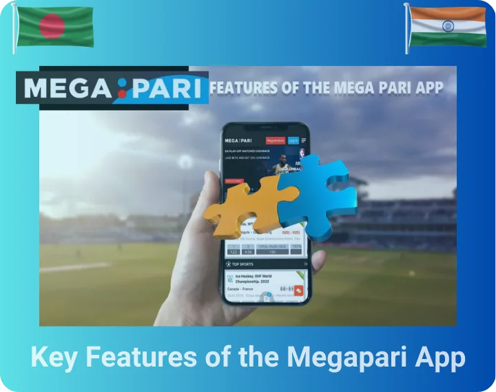 Ключевые особенности приложения Megapari